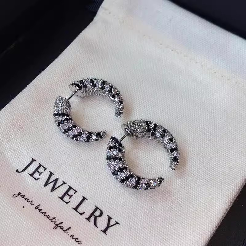 ヴィンテージフロントリアジルコンホーンイヤリング女性のための - Street Fashion Earrings のレビューと価格